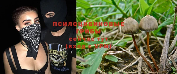 амф Абдулино